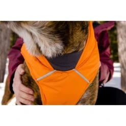Ruffwear Quinzee™ Hundejacke Orange M -Haustier Angebote Store 001bdf29a34dffebf7840b4a759030f83c299732 1370013 de DE 17dd615b14a3a705025267b6458fddf099eb308bn8H5c2