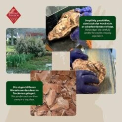 ChronoBalance Kauwurzel Für Hunde Baumheide 400 G -Haustier Angebote Store 02d91f4299eef8de1f5b0359bf410cef954de0e6 1409490 de DE ba8b2a31068658c9820512bd79f25900dbe0cd09ebMbro