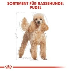 ROYAL CANIN Poodle Adult 7,5 Kg -Haustier Angebote Store 032b5ea6cfa49c42570652ccff0f17d6a9c5c3b3 041bf486a1c57468bdf7f77e34e32ac35b6d49d3