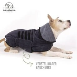 KaraLuna Bademantel Für Hunde XS -Haustier Angebote Store 03f83cf242d0a2d273b7c7fd5c24e5a315631dc0 1678940 de DE 18943efe1d2e504eb277f7fcc88424980d4487ac7sFjlx