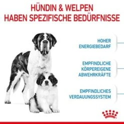 ROYAL CANIN Giant Starter 15kg 12 ROYAL CANIN Giant Starter 15kg -Haustier Angebote Store 04dba5b27937fabea6cdab520dec33c0ee4cbbf8 3182550778831 4