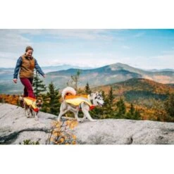 Ruffwear Lumenglow™ High-Vis Hundejacke Orange XL -Haustier Angebote Store 055f8ec457e40b7d33e9c275c20ea79bae1e006a 1378153 de DE e8b1f6094bc39d07bc90bd4fe7fc0806cf22bedaBId7iB