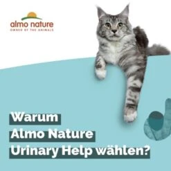 Almo Nature Almo Holistic Urinary Help 30x70g Mit Fisch -Haustier Angebote Store 060c8767b8c7969b21cac8aabe9818c799d04626 1479698 2 de