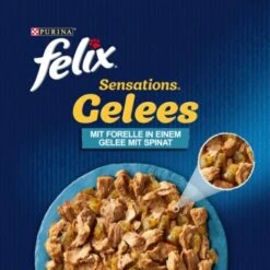 Felix Sensations Gelees Forelle & Spinat 26x85 G -Haustier Angebote Store 0877a02be1732da9a286921f303b9939186ea651 6730e3c9495a0b3316d573ad2b19086cc44f3848