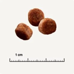 SELECT GOLD Digestion Senior Geflügel Und Reis 2,5kg -Haustier Angebote Store 0999645de19e34aac9b2c14ea642717fe4bc62d2 1001086008 de DE 6