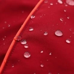 THE DOG IDEA Regenmantel Duke Rot XXXS -Haustier Angebote Store 0b96c2b346599e3bfc621cd46bc5222963a975ce 1487619 de DE 15918523d26ad94991e88a54ba0dbb6c1b769d88mq6M8P