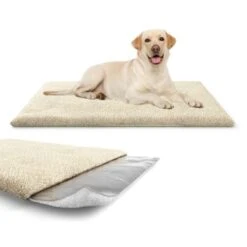 Knuffelwuff Kälteabweisende Und Wärmeisolierende Thermodecke Beige L -Haustier Angebote Store 0d048450d3677bbe66ac815d46c1573d77ebc64b 1411793 de DE 26a54309e701e992732d9c1d25392889d55befc3ZZNFAK