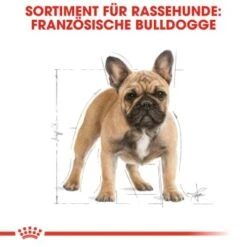 ROYAL CANIN Französische Bulldogge Adult 9 Kg -Haustier Angebote Store 1103d82fc7346a11a9ee81a9ab4bdcb41136307d 6122fbb549b8e1d90a8dc5cfef9eb2854b87768f