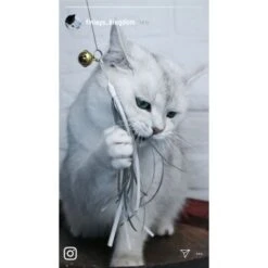 Kater Kasimir Deluxe Set Mit 9 Beliebten Katzenspielzeugen Aus Naturmaterial Und Handgemachtem CATDAD Armband -Haustier Angebote Store 122baa0b19daadb3dc19f77bbc4abc925f85480d 1408151 de DE b29a5f7f2530ce6388e16e2600369d70b2ec0350gWtDX5