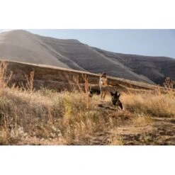 Ruffwear Hover Craft™ Spielzeug Orange -Haustier Angebote Store 15670c7f824cb67257971dca32974b68eba14a2f 1364297 de DE f53c4ca5615bcabb9ccbd712339b8f568f29402frPrk2m