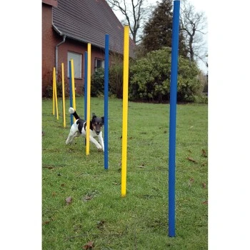 Dobar DOBA 12-teiliges Slalomset, Agility 2 Dobar DOBA 12-teiliges Slalomset, Agility – Bild 2