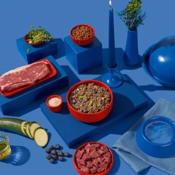 Fred & Felia FRED 10x390g Tim Raue Frankreich 5 Fred & Felia FRED 10x390g Tim Raue Frankreich – Bild 5