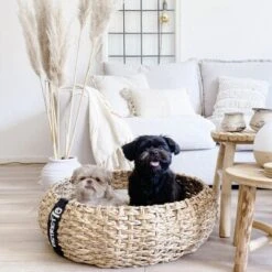 District 70 COCOON Natural M 10 District 70 COCOON Natural M -Haustier Angebote Store 1db584284c497361442002ba80ca8dd9597a35b9 1ad367312153dfaf420d5600b6e8e9dac5cec798