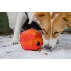 Ruffwear Gnawt-a-Rock™ Spielzeug Blau -Haustier Angebote Store 1df4ce0c3e2b13b9dde849014a9b4637ff5fbf94 1639879 de DE 625c8d7bd239fd4e64b055b3b2574c1b5400a391xF45nb