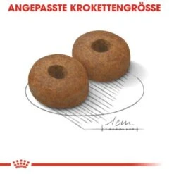 ROYAL CANIN Maxi Ageing 8+ 15 Kg -Haustier Angebote Store 1f74576074b08980312d66192abbc5a6880d5273 2360df0e5dfbf003993ef0adda759c1148140b01