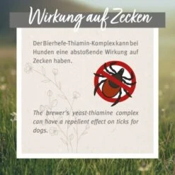 Aniforte Zecken Schild (bis 10kg) Für Kleine Hunde 60 Kapseln -Haustier Angebote Store 22de14cd0402c581e833c36637ee1b23c246aa74 1332831 de DE 6700813aa03bffd9cf2beb8a7d73b7965a418ce58Ct8JX