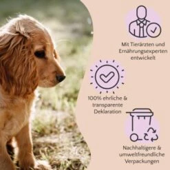 FAVLY Petfood PURE Bites Hirsch 360 G 7 FAVLY Petfood PURE Bites Hirsch 360 G -Haustier Angebote Store 236dbc85f5fb75ec5fb4367bde1445e3087ffdcd 1474003 de DE 80624b888460a5c29f043365a19496292e44fd84TlIvR8