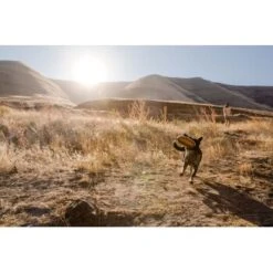 Ruffwear Hover Craft™ Spielzeug Orange -Haustier Angebote Store 23f3ce0fb188e4f5a253007adc90481d6747961b 1364297 de DE e44fe3627eb338195cfdd7c589598a8edb05def2xpzXS1