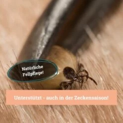 BeG Buddy Fellspray Zecke 9 BeG Buddy Fellspray Zecke -Haustier Angebote Store 297119792bee87c54c4080010b8d6149223d300c 1457254 de DE b0426d8711049b0aafb9b17aaa93a89672536d279Kmo8x