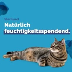 Almo Nature Almo Holistic Sterilised 30x70g Mit Huhn -Haustier Angebote Store 2a74214638ef27d415d1f494384f1208b23d2819 1479695 4 de