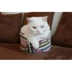 Canadian Cat Company Katzenschiff LUNA -Haustier Angebote Store 2a794931f9263820d298c92486fc08c7b5fe3a35 1412669 de DE 46780a4b5da8fe052e5be00462eb02991658c41f2ZgeMs