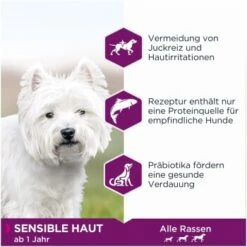 EUKANUBA Daily Care Sensible Haut 12 Kg -Haustier Angebote Store 2ac8b12e9bbcd9f97aaad7e0b275ab1a12aadd10 9080130ab11389ec72354c5ef3b9e725118015a6