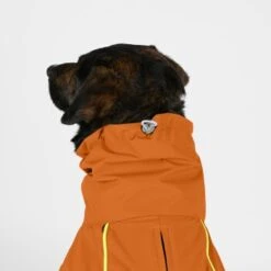 THE DOG IDEA Regenmantel Duke Orange XXXS -Haustier Angebote Store 2c464c8150423d80739b1409ce956e12c7928827 1473000 de DE 974a3540330c77e50b2a59dc10e705f1dbfc6716V9PfXa