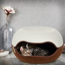 Canadian Cat Company Filz Katzennest 2.0 Weiß 15 Canadian Cat Company Filz Katzennest 2.0 Weiß -Haustier Angebote Store 2d709df44822ed1c554e77257ea4f2826b7f6ee6 1412670 de DE f4bc2f42c404e1ae32cb86346c8e995f0178b889j3OAow