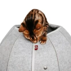 Canadian Cat Company Katzenhöhle In Kugelform S -Haustier Angebote Store 2ecb868df2d3b2cf90a9092caebd3c19caa20008 1347679 de DE 9620a1f8944edc55aec2b992d490644e015c022abD41s1