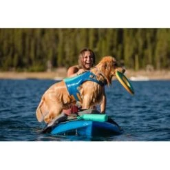Ruffwear Hydro Plane™ Spielzeug L Blau/ Türkis -Haustier Angebote Store 3182973e4d2d3f04d1c88a483ada75b0da0b40b4 1364299 de DE 1b9b90a8c9802f9550dc8b34c08b951202478f9aXpyQQq