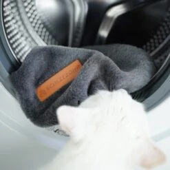 Schlitzohr Ersatzbezug Fensterbankliege 12 Schlitzohr Ersatzbezug Fensterbankliege -Haustier Angebote Store 31be77f1e399f6136043e21b4738926da0a2a857 1484678 de DE ef0a822967d19fb8fa7e91c1bd57dd978a972d89UwPMnu