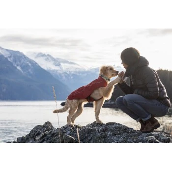 Ruffwear Overcoat™ Hundejacke Rot M 6 Ruffwear Overcoat™ Hundejacke Rot M – Bild 6