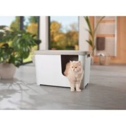 MORE FOR Katzentoilette XXL Titan -Haustier Angebote Store 331a65ecbdbda6a54304894f23caf93293414f9a 41a7dcb3b92b8da7531785b268f381c1b25bbf04