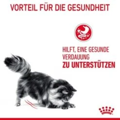 ROYAL CANIN Digestive Care 10 Kg -Haustier Angebote Store 33836b78e4dfe5d72c6cf6742ac3f6af2f72a25c 1084985 4