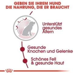 ROYAL CANIN Medium Ageing 10+ 15 Kg -Haustier Angebote Store 35439b8991bb238cb34fa70ccac51c3234fae357 36aa1650a1aa302f839e41250cfe840f4a638243