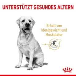 ROYAL CANIN Labrador Retriever 5+ Adult 12 Kg -Haustier Angebote Store 36302d0545303057162d207ddcaab4c5166f9844 25542c8ceccb3c049d8caac2fe35e7786064477e