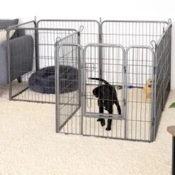 Lionto Freilaufgehege Welpen Gitterfreil 60 Cm, 1 Cm, 80 Cm -Haustier Angebote Store 36b609c51e916046b581efda5ea6811e2c829bd8 1498016 de DE 794da90c9076c5cc9e9eae67a633691d7c219be8EE6Vlo