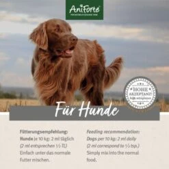 Aniforte Futteröl Premium BARF-Line 250ml 7 Aniforte Futteröl Premium BARF-Line 250ml -Haustier Angebote Store 3b87e1fdb89a19cc238c2813f48e11ed20895be4 1422213 de DE 16dc7ac85a711c6a2374115b74cd499573ef1a7aPoICSB