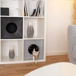 Lionto Katzenhöhle Aus Filz, Regalhöhle Hellgrau -Haustier Angebote Store 3c5d584027a6e3b26513e541aa58d28bf163eba5 1657088 de DE 08ba330c4edc4dd9925351943ddeb35e95610dc5ibJstM