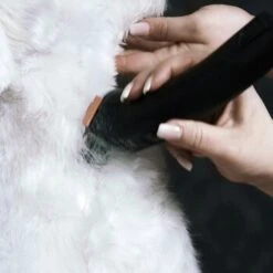 Moser Schermaschine Arco Pro 13 Moser Schermaschine Arco Pro -Haustier Angebote Store 3e5298b3656d28f017bce510a0e1de7f397c869d 116095204b214f2dcd4eabf0f13676dba14e1568