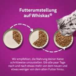Whiskas Tasty Mix Multipack Chef's Choice In Sauce 40 X 85g 13 Whiskas Tasty Mix Multipack Chef's Choice In Sauce 40 X 85g -Haustier Angebote Store 409f4c41204a67499d9e04ea40f469165fcf23ac 1410720 de DE Whiskas 4