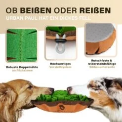 URBAN PAUL Schnüffelteppich - Grün 10 URBAN PAUL Schnüffelteppich - Grün -Haustier Angebote Store 41b69e30147446053fcf1ef3a5c0ef4e586c3637 1477263 de DE f3d4dc055420076a5d6665754e59033e977ead92pVbA3s