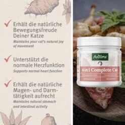 Aniforte 4in1 Complete Cat 60g -Haustier Angebote Store 433174568e18224fd341b5ca349c776d85d96ab2 1332844 de DE 0aa93cc915c5d5bb812b052b88179a1f5f51f297zDGJEt