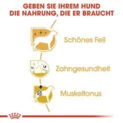 ROYAL CANIN Poodle Adult 7,5 Kg -Haustier Angebote Store 4355b892883386eeffdea0883bc90c793459812d bc34c65453008173386e7fdf784644e070da89b9