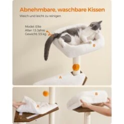 FEANDREA Kratzbaum Mit Croomer Braun -Haustier Angebote Store 47d0b3925cfaeb666d35f7ee3984913541c8c087 1651635 de DE 88f22557a14da5cca647f95ef4949dafa54896c7B6UNIS