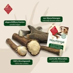 ChronoBalance Geweih Halbiert (M) 2er Paket -Haustier Angebote Store 49b2abc7cad0ffeac02d060cf9f29719b7c1554c 1418686 de DE 902a389be4b99eb60431c66affbaefe4377d76894qYs7t