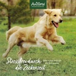 Aniforte Zecken Schild (bis 10kg) Für Kleine Hunde 60 Kapseln -Haustier Angebote Store 49e07229986c01ad0e985f8070fe8262af2296ea 1332831 de DE 6b0465714e7043aa512f07a2e3a3c8a3a07d4c02s07yBZ