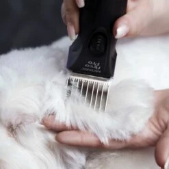 Moser Schermaschine Arco Pro 18 Moser Schermaschine Arco Pro -Haustier Angebote Store 4a8923d4e135d6dcdc4b5babae8a3f589e005869 01419b78963226934274d63a024e8d91d3673041