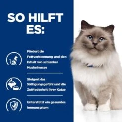 Hill's Prescription Diet Weight Loss R/d Mit Huhn 1,5 Kg -Haustier Angebote Store 57b0b500178925881ec20cae281495453615ab0b 26de2a9eaecf697777195031c030845325fcd2f9