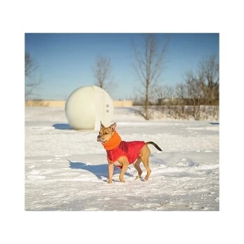 GF Pet Scout Jacke Rot XXS 4 GF Pet Scout Jacke Rot XXS – Bild 4